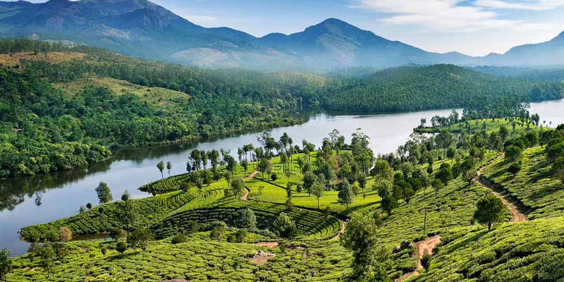 munnar tour