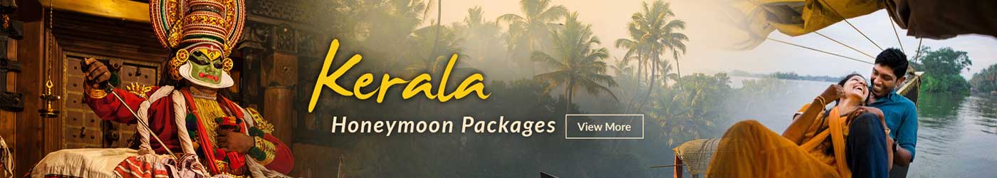 kerala Honeymoon packages